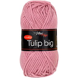 Obrázek pro produktTulip Big 41071