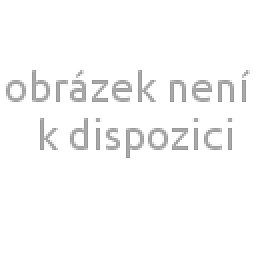 Obrázek pro produktPony jehlice kruhová 60cm – 5,00